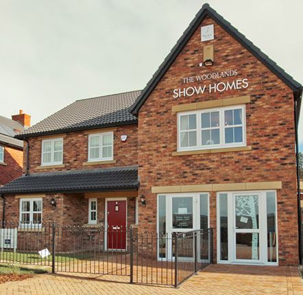 Story Homes celebrates second year on Sunday Times’ BDO Profit Track 100