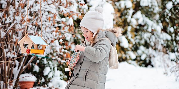 Help your garden wildlife through the winter