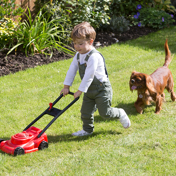 Top tips for looking after your lawn